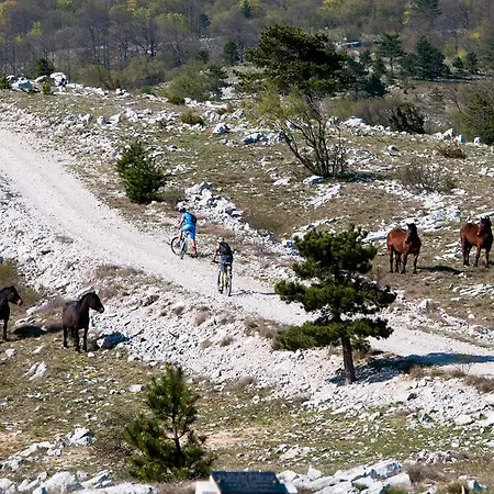 Zlatko Ičići