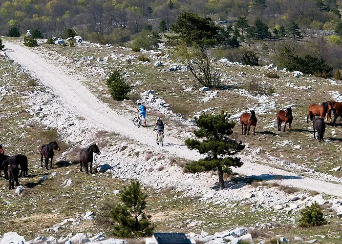 Zlatko Ičići